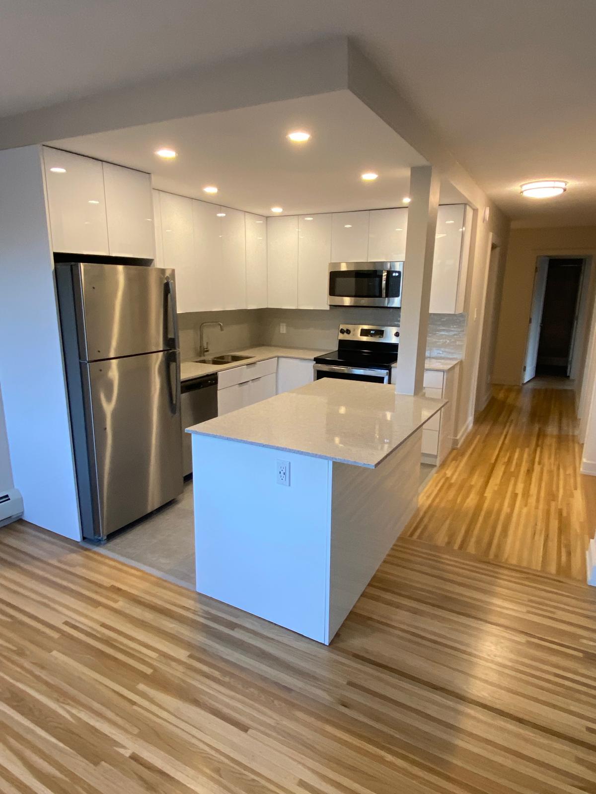 Modern Kitchen Renovation